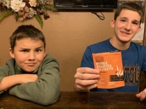 brother bloggers